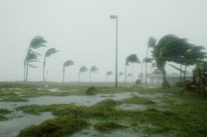 The Oz Leasing Blog 163 hurricane winds Florida